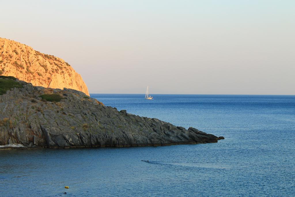 Elena Studios Tarti Luaran gambar