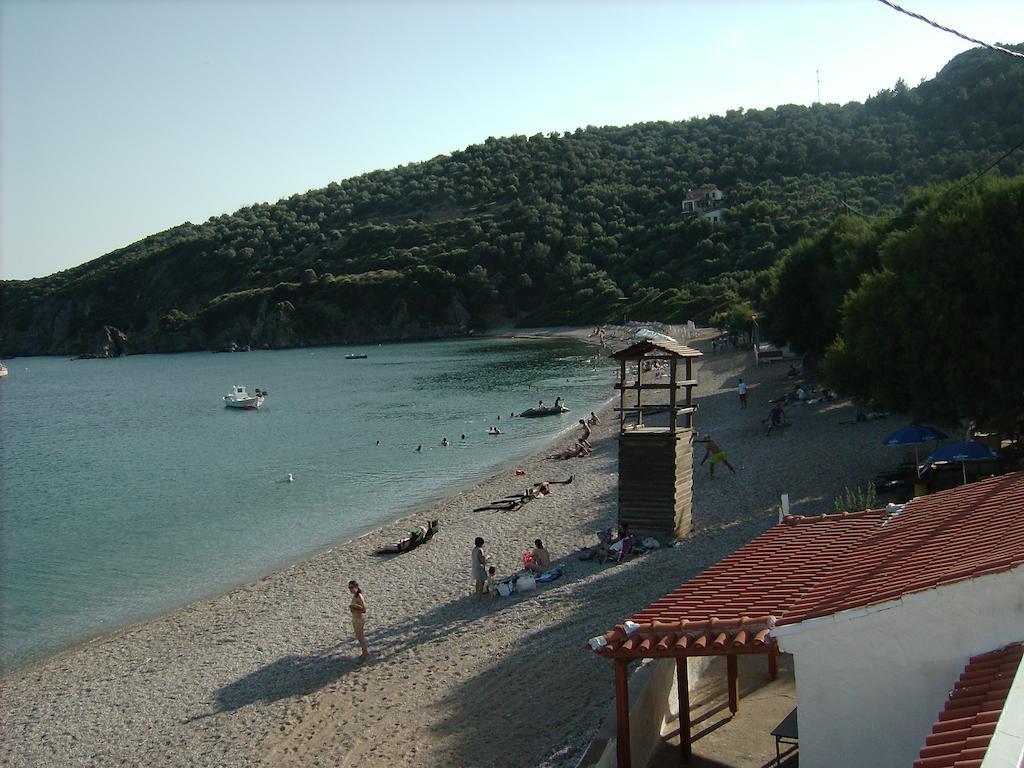 Elena Studios Tarti Luaran gambar