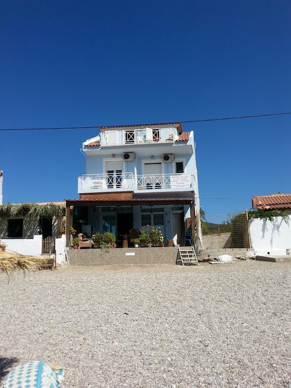 Elena Studios Tarti Luaran gambar